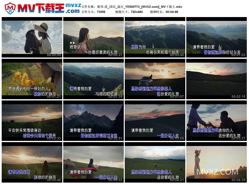 蔡琴-爱_国语_流行_YE500773